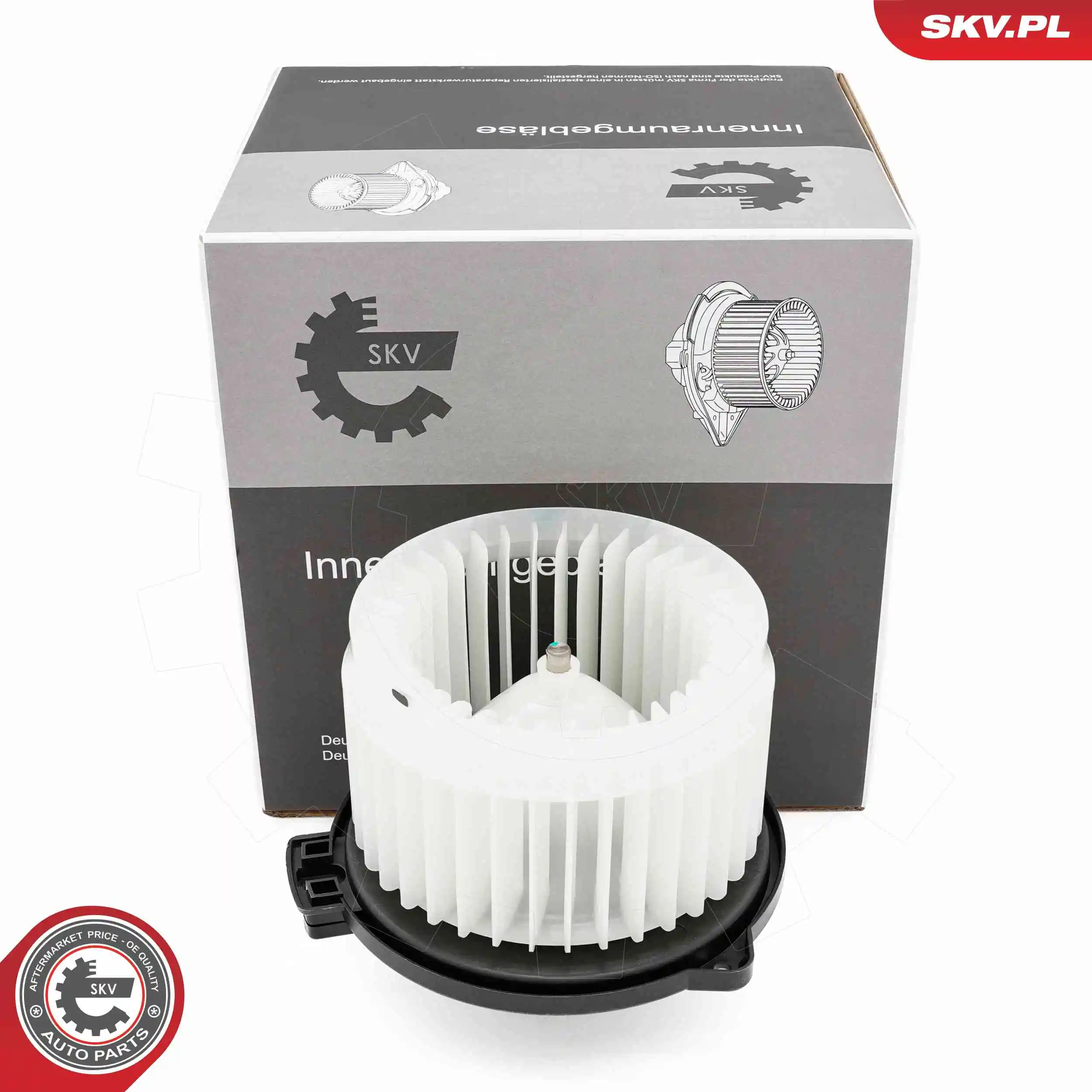 Interior Blower